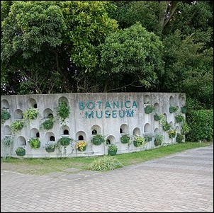 BOTANICA MUSEUM