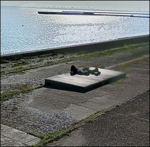沿岸の休憩所