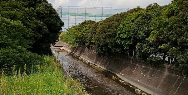 散歩道