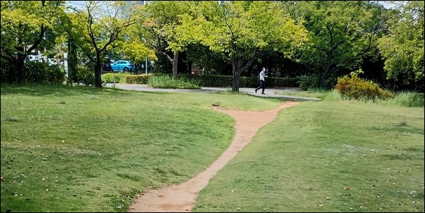 散歩道