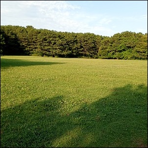 芝生広場