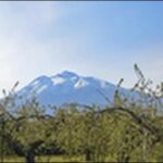 【あっちこっちAぇ】青森県の魚市場、交流拠点施設を紹介