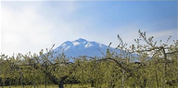 【あっちこっちAぇ】青森県の魚市場、交流拠点施設を紹介