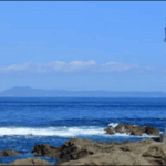 【ベスコングルメ】神奈川三浦市三崎海鮮料理店まるいち食堂が極上