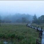 【ベスコングルメ】栃木県那須のそば屋、レストラン 、釣り堀 を紹介