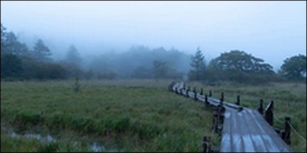 【ベスコングルメ】栃木県那須のそば屋、レストラン 、釣り堀 を紹介