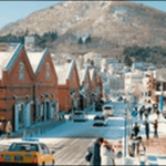 【土曜はナニする】北海道函館のカフェ、乗馬クラブが人気スポット