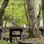 【土曜はナニする】神奈川箱根の海鮮料理 、遊覧船、 ツアーが格別