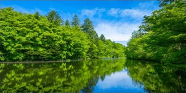 【土曜はナニする】長野県軽井沢のレンタサイクル、池   カフェ等を紹介
