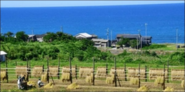 【土曜はナニする】新潟県南魚沼郡うどん、レストラン、ロープウェイ