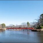 【土曜はナニする】埼玉県うなぎ屋、和菓子屋、スポーツ施設を紹介