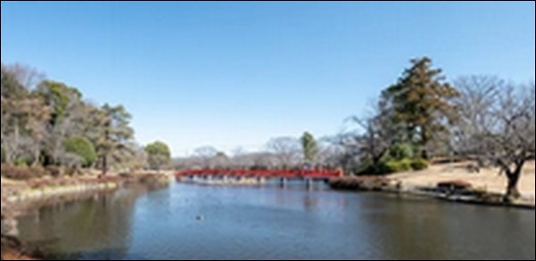 【土曜はナニする】埼玉県うなぎ屋、和菓子屋、スポーツ施設を紹介