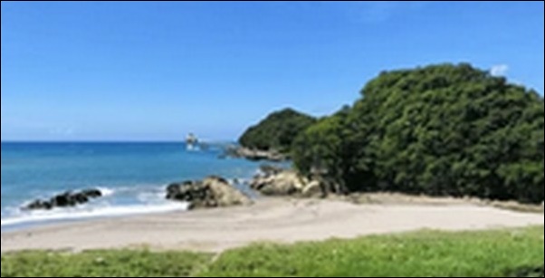 【土曜はナニする】高知県の居酒屋、ラーメン、水族館 を紹介