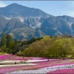 【土曜はナニする】埼玉県秩父市カフェ、イタリアン、釣り堀を紹介
