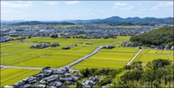 【よ~いドン】岡山新見お勧めスポット3選!鍾乳洞とレストランが鍵