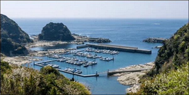 【帰れマンデー見っけ隊】神奈川三浦の海鮮料理 、寿司、牧場が人気