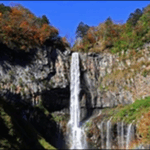 【帰れマンデー見っけ隊】栃木日光の寺、滝の人気スポットが最高