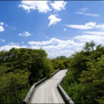 【帰れマンデー見っけ隊】栃木那須高原のステーキ、食堂、温泉が人気