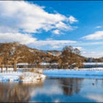 【帰れマンデー見っけ隊】長野軽井沢の教会、寺が人気スポットです