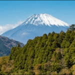 【帰れマンデー】神奈川県箱根ラーメン、寿司、すすき草原が格別