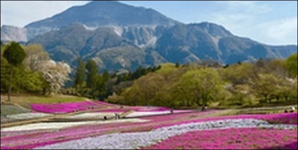 【帰れマンデー見っけ隊】埼玉県長瀞の喫茶店、そば屋 、神社を紹介