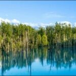 【帰れマンデー見っけ隊】北海道のレストラン、池、丘、農園を紹介