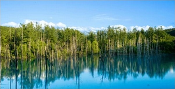 【帰れマンデー見っけ隊】北海道のレストラン、池、丘、農園を紹介