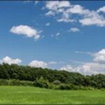 【帰れマンデー見っけ隊】栃木県那須高原のステーキハウス、土産店