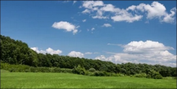 【帰れマンデー見っけ隊】栃木県那須高原のステーキハウス、土産店