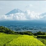 【帰れマンデー見っけ隊】静岡県の郷土料理屋、ラーメン屋を紹介