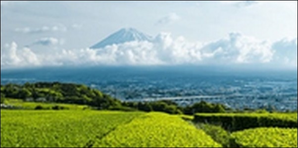 【帰れマンデー見っけ隊】静岡県の郷土料理屋、ラーメン屋を紹介