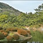 【ケンコバのほろ酔いビジホ泊】香川県高松のうどん屋、居酒屋が人気