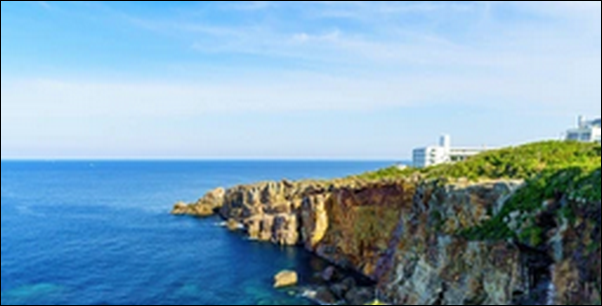 【LIFE夢のカタチ】和歌山雑賀崎の寿司が人気!魚料理店は必見