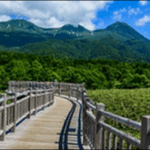 【ラヴィット】北海道知床のジェラート、世界自然遺産の公園が人気