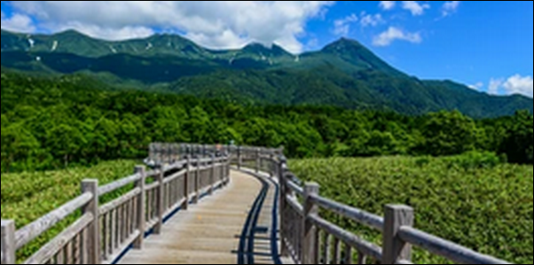 【ラヴィット】北海道知床のジェラート、世界自然遺産の公園が人気