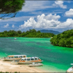 【ラヴィット】沖縄の泥パック、玉子焼き、アロハシャツが紹介!