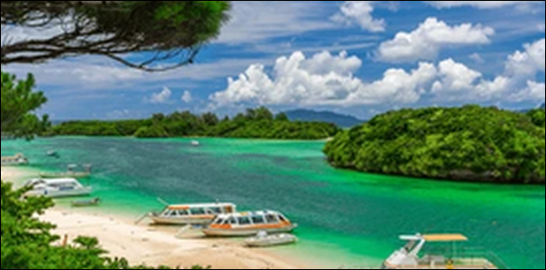 【ラヴィット】沖縄の泥パック、玉子焼き、アロハシャツが紹介!