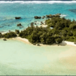 【ラヴィット】沖縄の海ぶどうとナイトツアーが楽しめる海ん道が人気