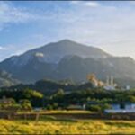 【ラヴィット】埼玉川口の弁当屋、醸造所、観葉植物専門店が人気