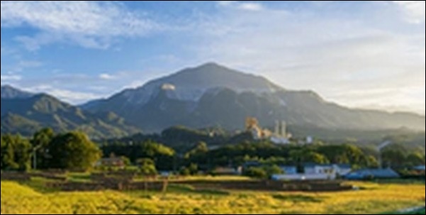 【ラヴィット】埼玉川口の弁当屋、醸造所、観葉植物専門店が人気