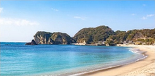 【ラヴィット】千葉県房総半島の食品市場、海鮮料理、水族館が人気