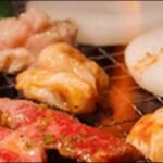 【バナナマンせっかくグルメ】北海道帯広市の肉料理、鶏料、焼肉店