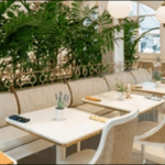 【朝だ生です旅サラダ】宮崎県宮崎市の中華、焼肉、マンゴーが旨い