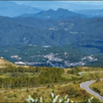 【朝だ生です旅サラダ】群馬渋川市の玉こんにゃく、焼肉を紹介