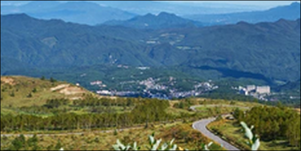 【朝だ生です旅サラダ】群馬渋川市の玉こんにゃく、焼肉を紹介