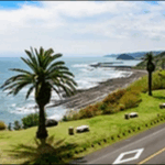 【朝だ生です旅サラダ】宮崎日向市うどん、牡蛎料理が極上です。