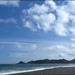 【朝だ生です旅サラダ】高知の屋台餃子、路面電車、美術館が魅力