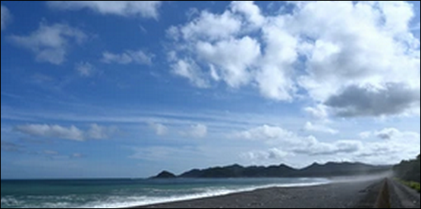 【朝だ生です旅サラダ】高知の屋台餃子、路面電車、美術館が魅力