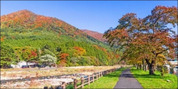 【朝だ生です旅サラダ】栃木のそば、パン、ステーキ、庭園が大人気