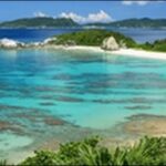 【朝だ生です旅サラダ】沖縄のアートギャラリー 、カフェ 、並木が人気